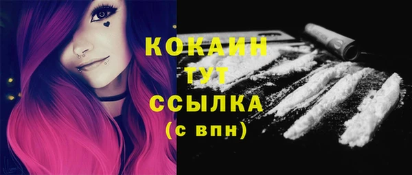 МДПВ Кукмор