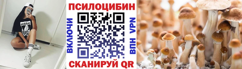 Галлюциногенные грибы ЛСД Павловская