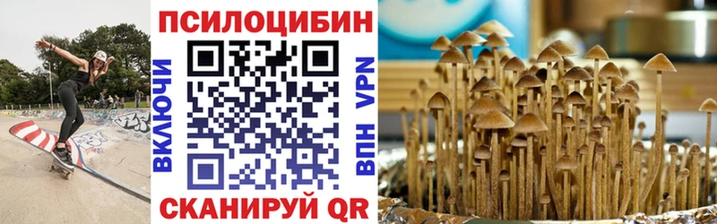 Галлюциногенные грибы Psilocybine cubensis  Павловская 